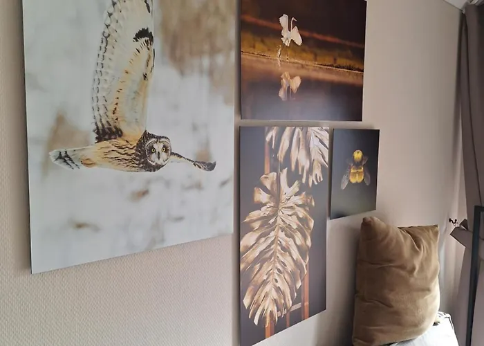 Chalet Woodlonge Tinyhouse