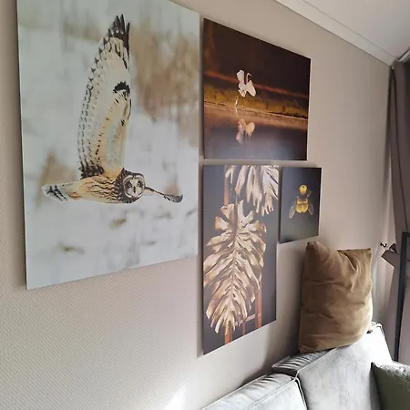 Chalet Woodlonge Tinyhouse