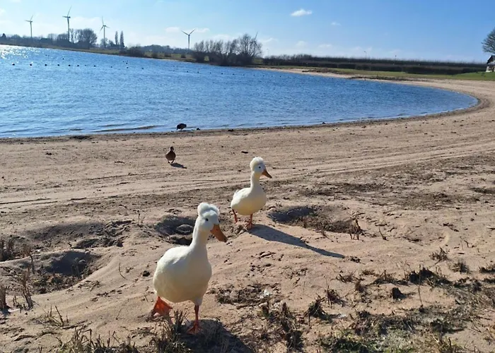 Woodlonge Tinyhouse Alpstuga Lathum